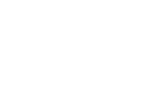 Dragon Style